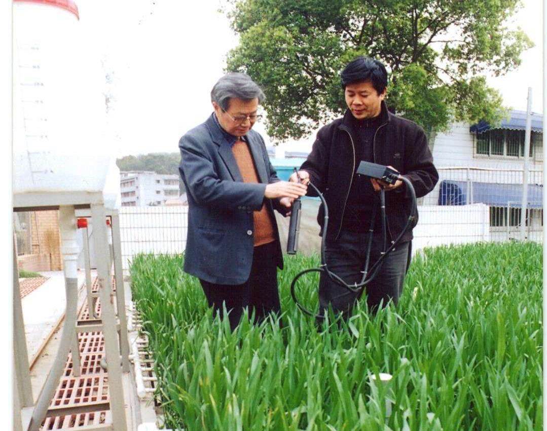 茆智院士进行田间试验