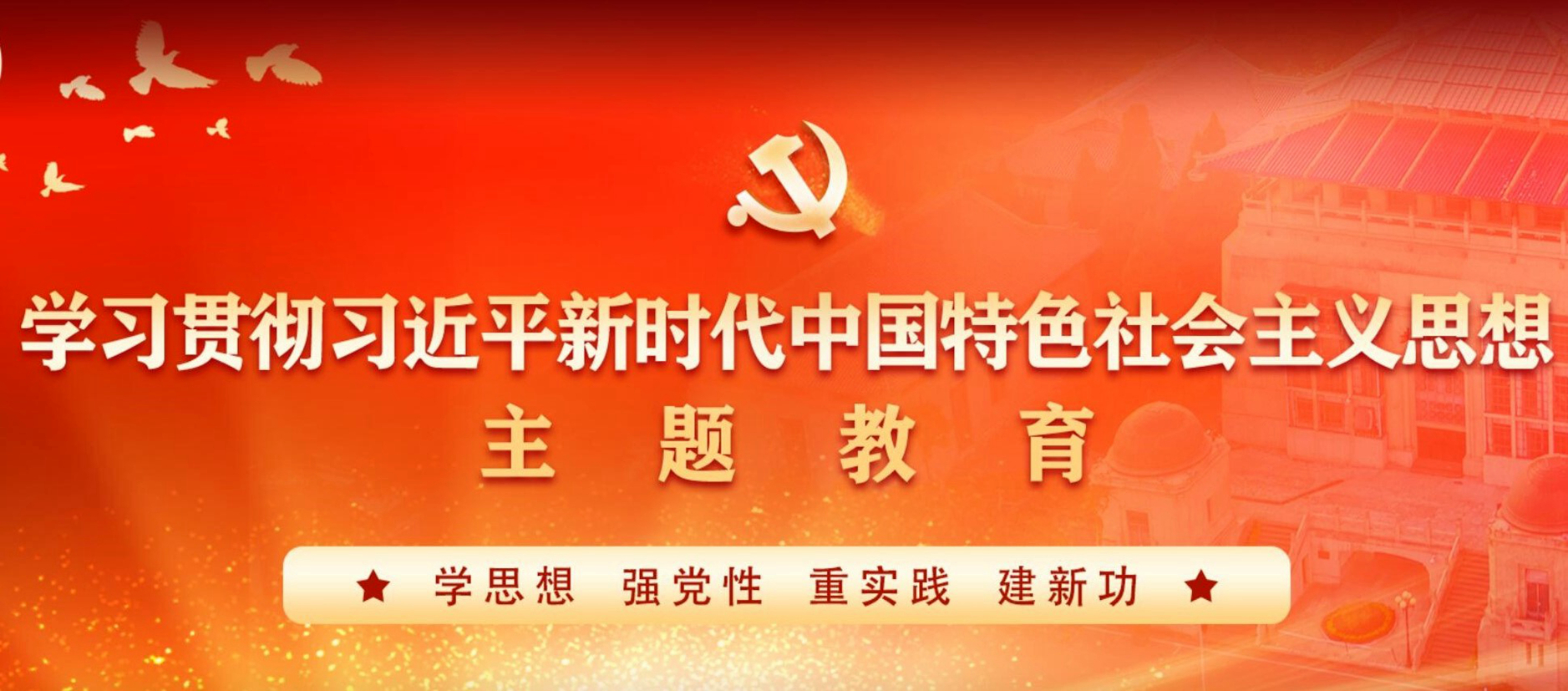 学习贯彻习近平新时代中国特色社会主义思想主题教育